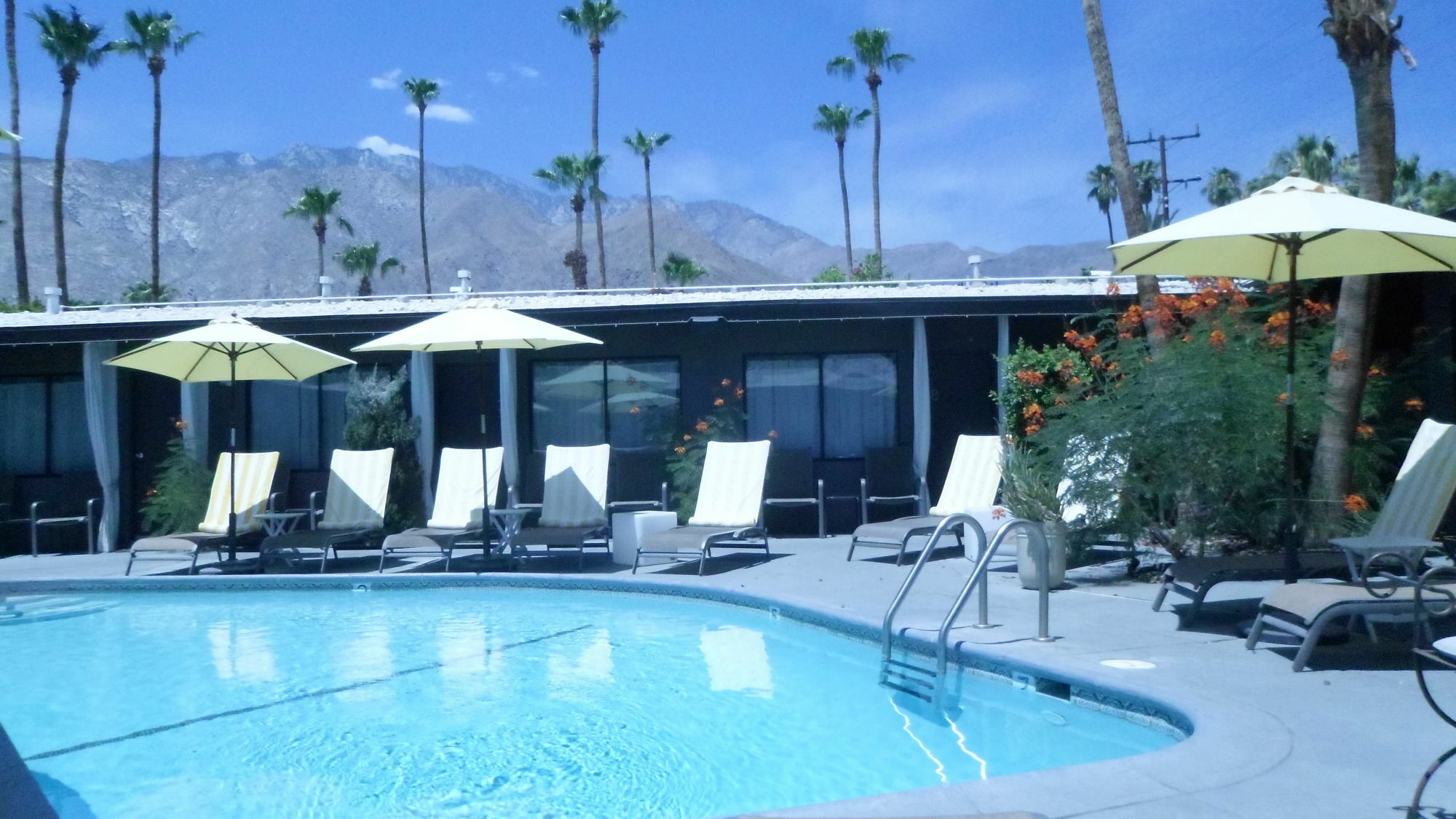 Avanti Hotel Palm Springs Exterior foto