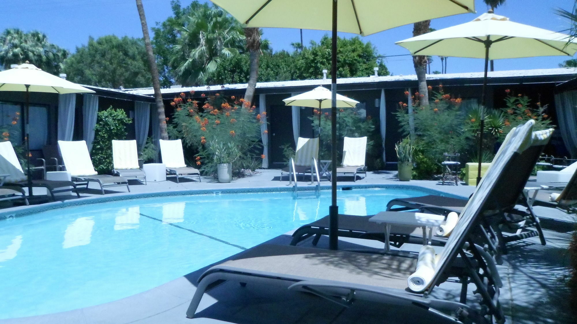 Avanti Hotel Palm Springs Exterior foto