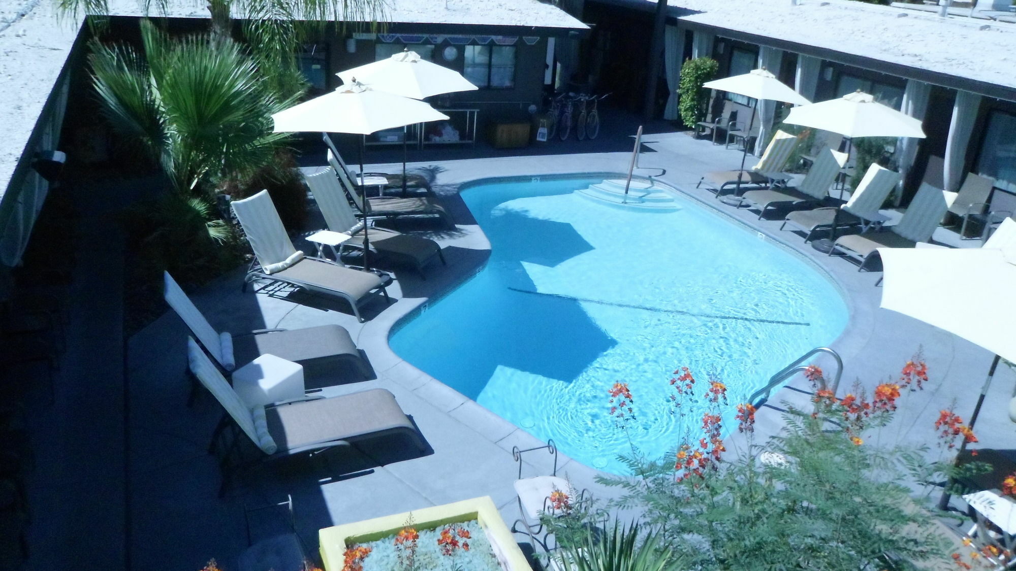Avanti Hotel Palm Springs Exterior foto
